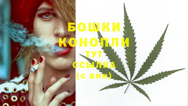 МДПВ Краснотурьинск