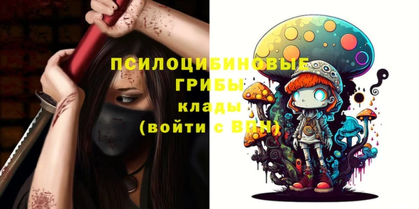 МДПВ Краснотурьинск