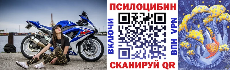 Галлюциногенные грибы GOLDEN TEACHER  Купить закладки  Цимлянск 